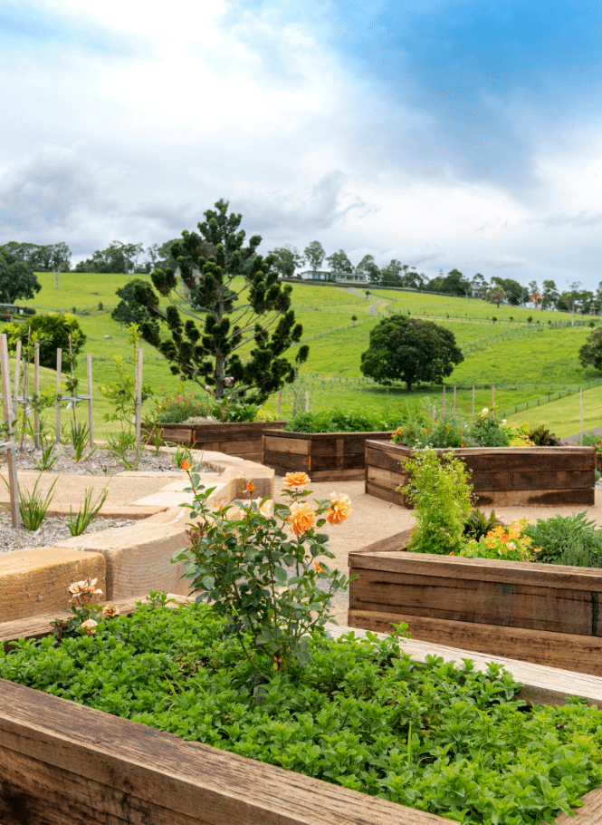 Hazelwood's onsite market garden with herbs and vegetables