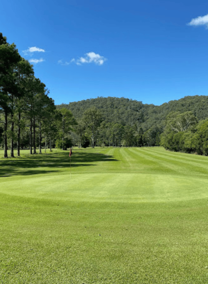 The greens of Canungra Area Golf Club