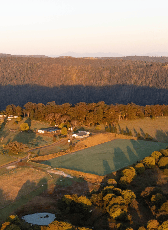 Aerial view of Beechmont Estate polo field