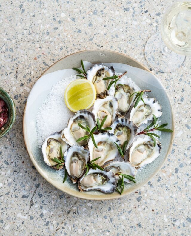 ⁠🍴Special dish: North Stradbroke Island oysters and shallot mignonette from Harry’s Farm, garnished with sea purslane and meyer lemons from our garden.⁠
⁠
Our team in the kitchen are passionate about highlighting local producers from South East Queensland. Our oysters are locally sourced from a small batch oyster farm located on North Stradbroke island 🦪⁠
⁠
📸 @caringarland⁠
⁠
#SeeAustralia #ThisIsQueensland #VisitScenicRim #DestinationScenicRim #PlayGoldCoast #VisitBrisbane #NorthernEscapeCollection