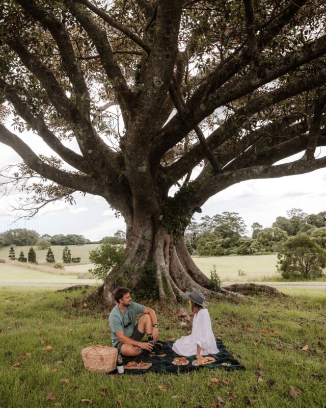 Paddock Picnic Hamper 🧺⁠
⁠
A gourmet picnic hamper can be ordered to enjoy on the grounds of the estate, in the comfort of your room or out and about on a hike of Lamington National Park. Our Executive Chef has curated a selection of fresh, seasonal produce, cheese and cured meats and sandwiches along with some refreshments.⁠
⁠
📸 @ashleydobson⁠ 
⁠
#SeeAustralia #ThisIsQueensland #VisitScenicRim #DestinationScenicRim #PlayGoldCoast #VisitBrisbane