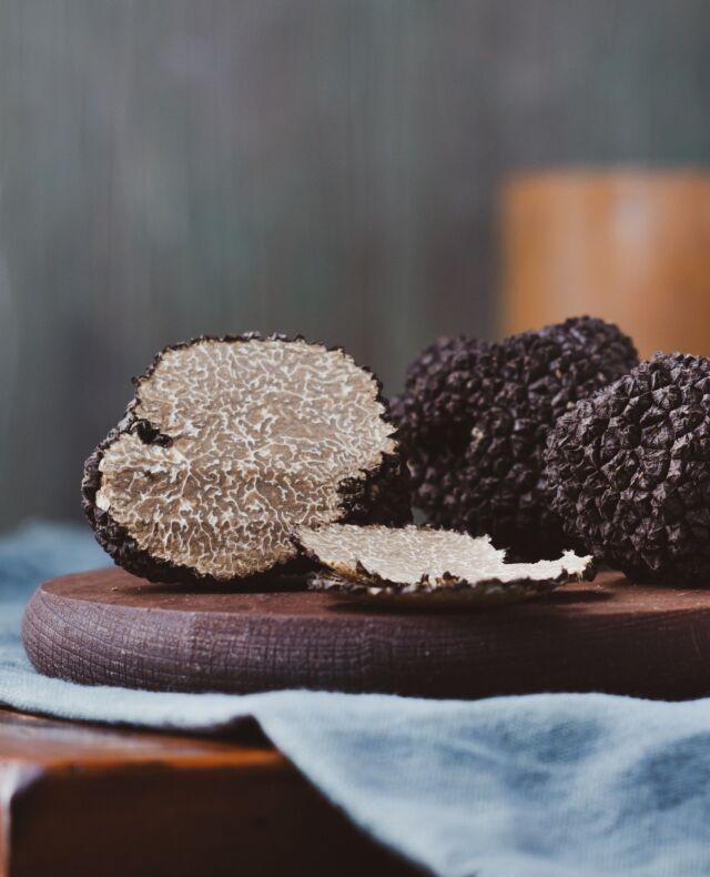 Truffle season has arrived at Beechmont Estate and we’re celebrating with a special menu throughout the month of July.⁠
⁠
Enjoy a decadent five-course truffle menu designed by The Paddock chefs, Chris and Alex Norman, or simply choose to add fresh truffle to any of the dishes on our à la carte menu.⁠
⁠
#BeechmontEstate⁠
#ThisIsQueensland ⁠
#DestinationScenicRim ⁠
#VisitScenicRim ⁠
#PlayGoldCoast ⁠
#VisitBrisbane⁠